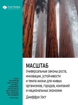 cover image of Масштаб